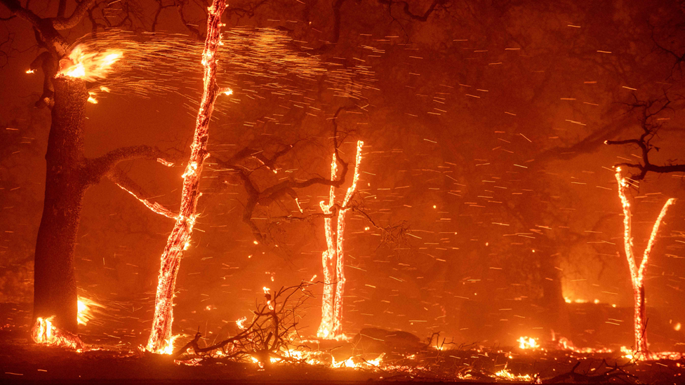 Los incendios forestales en California se han vuelto más frecuentes debido al cambio climático. Los científicos tienen una obligación moral de advertir claramente a la humanidad, afirmaron los autores del mensaje.