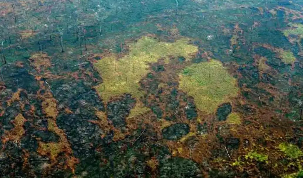 En algunas regiones amazónicas se registraron fuertes incendios este 2019. (Foto Prensa Libre: AFP)