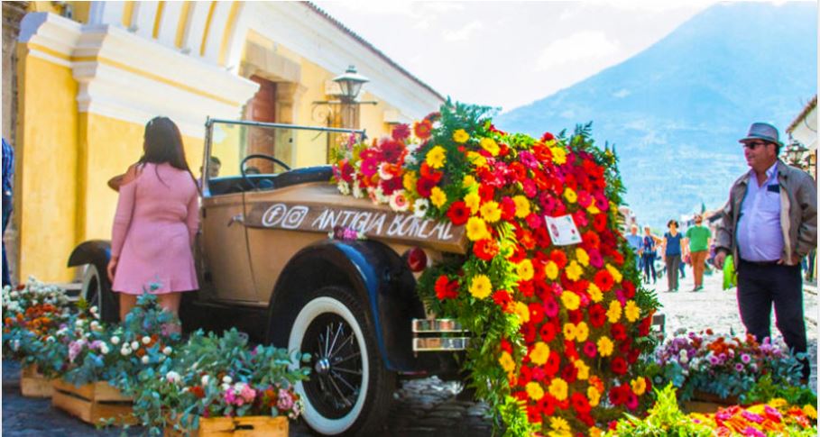 Productores presentan múltiples opciones de arreglos. (Foto Prensa Libre: Festival de las Flores en la Antigua)