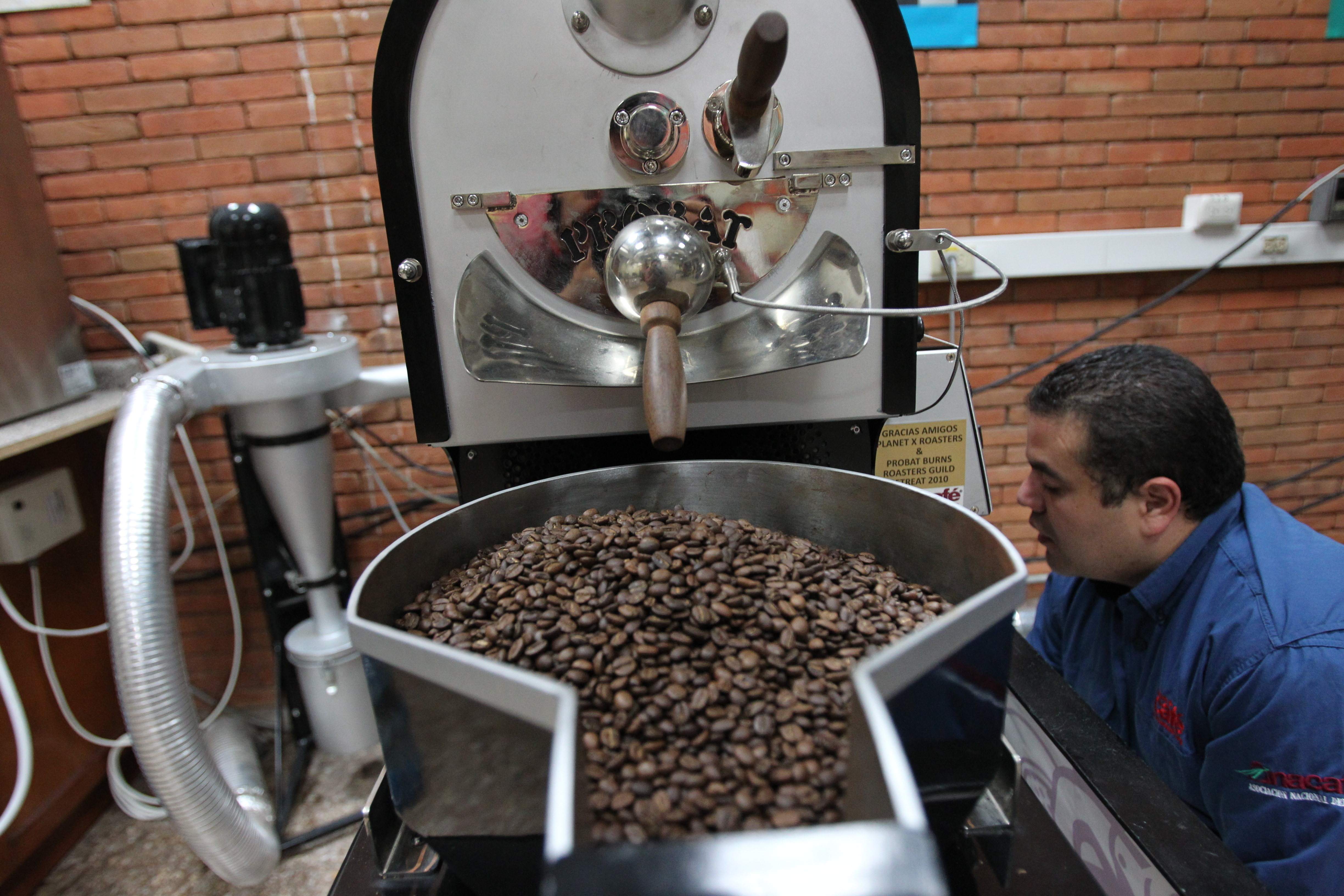 Las exportaciones de café para Corea del Sur representaron 4% del total en 2020, pero tienen potencial de crecimiento, según Anacafé. (Foto Prensa Libre: Hemeroteca) 