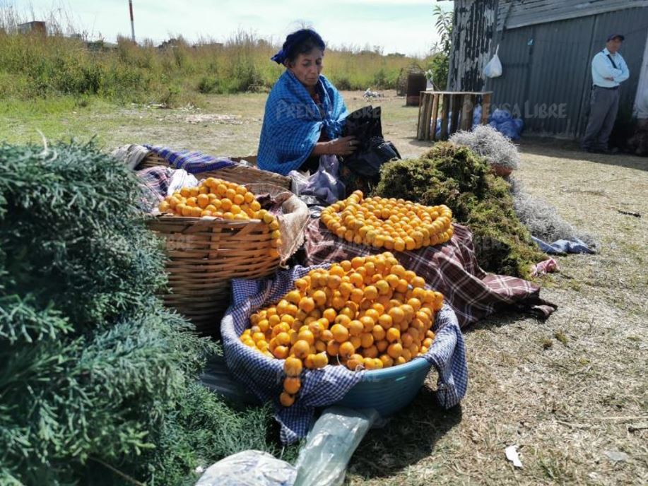 Este 4 de diciembre abren sus puertas las ventas navideñas que se instalan en los campos del Roosevelt. (Foto Prensa Libre: María René Barrientos)