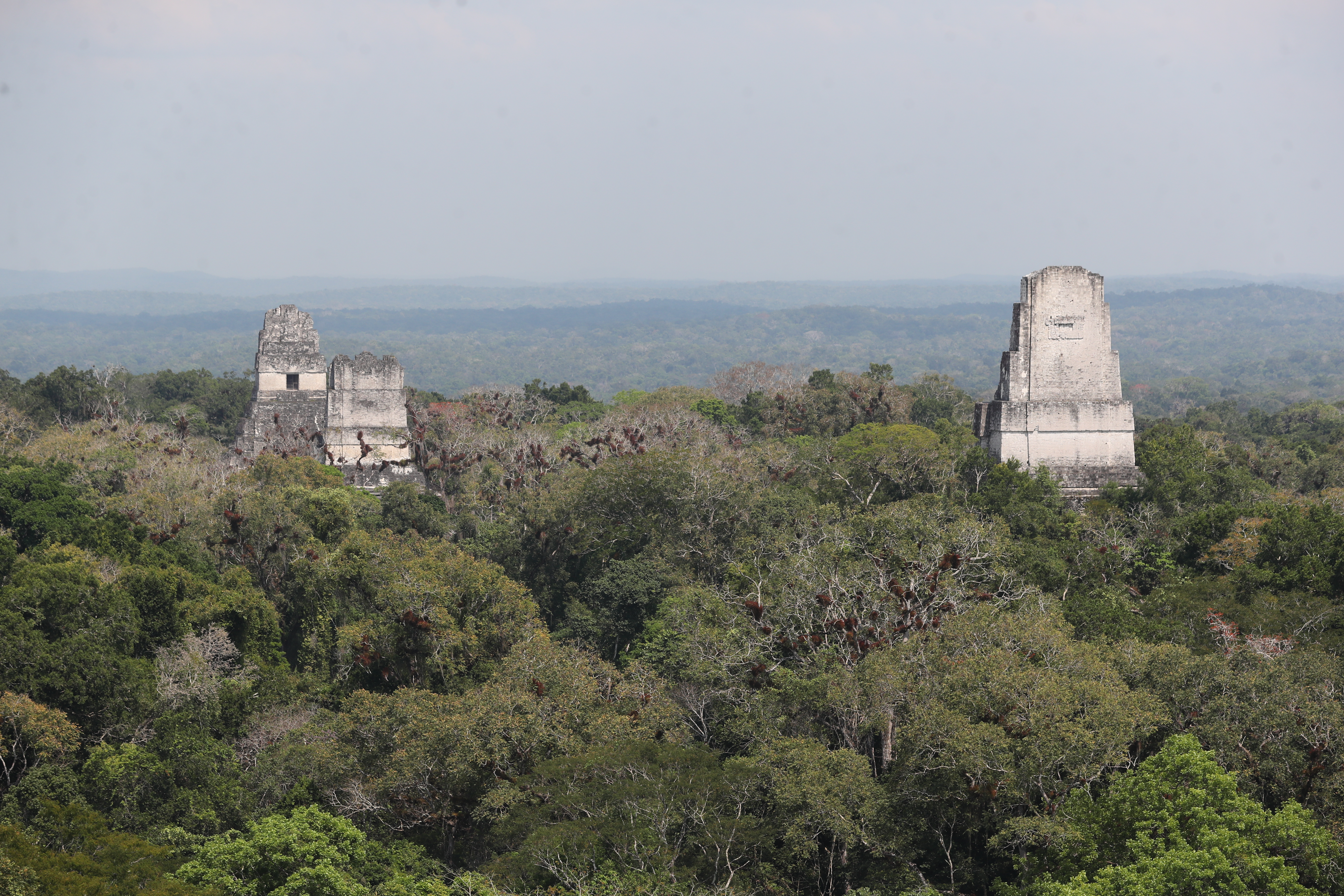 Dos grandes sequías ocasionaron el declive de los mayas