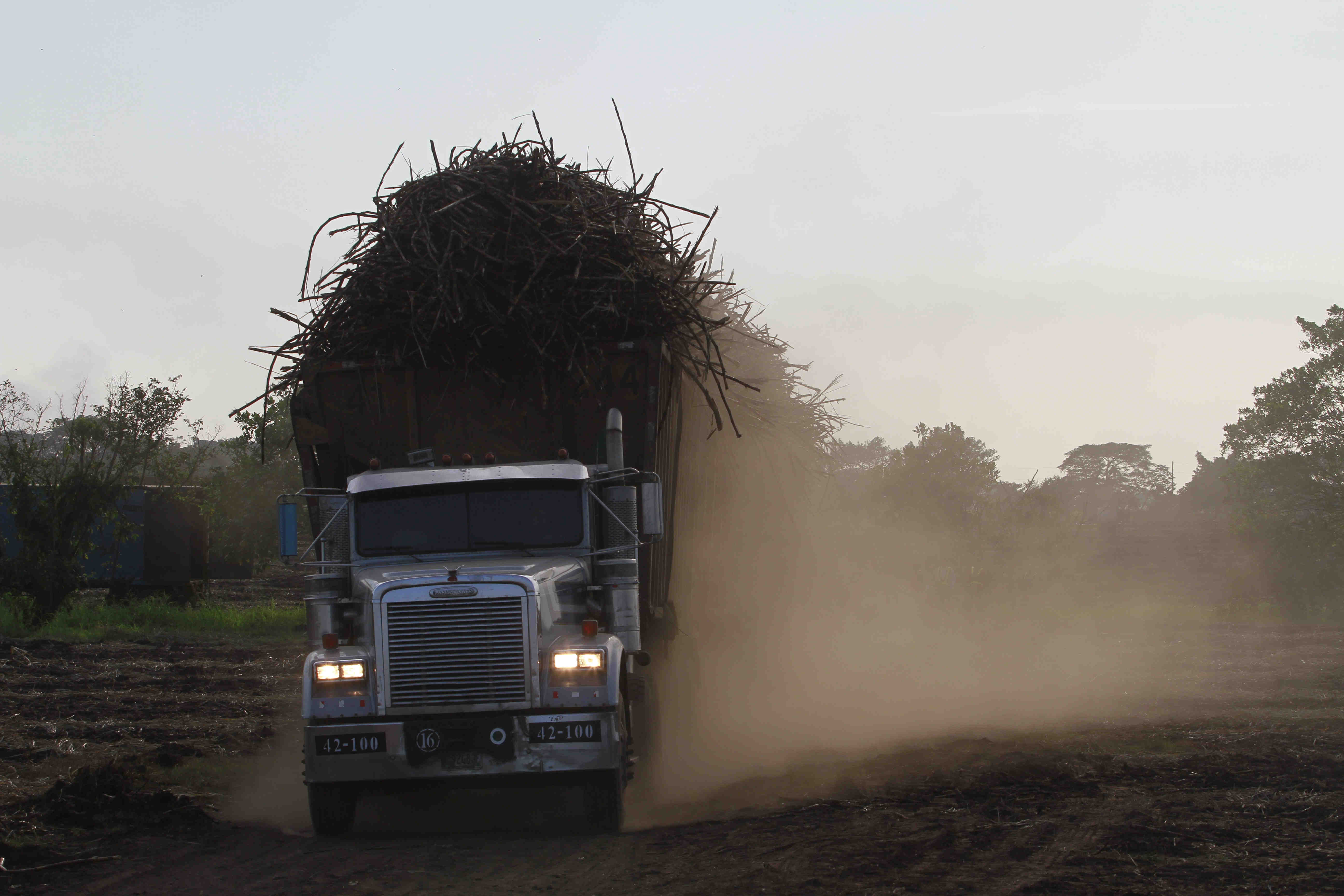 La zafra 2019-2020 tendrá una reducción por efectos de clima, pero se proyecta una estabilidad en los precios internacionales de azúcar, según el presidente de Asazgua. (Foto Prensa Libre: Hemeroteca) 