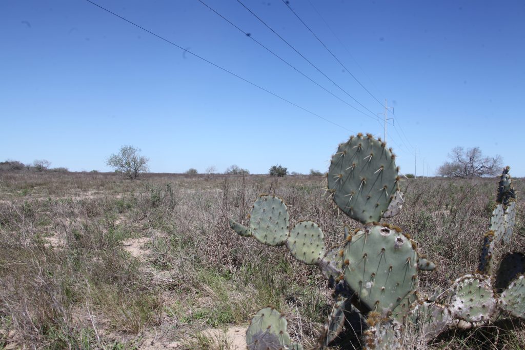 muertos frontera sur de EE. UU.