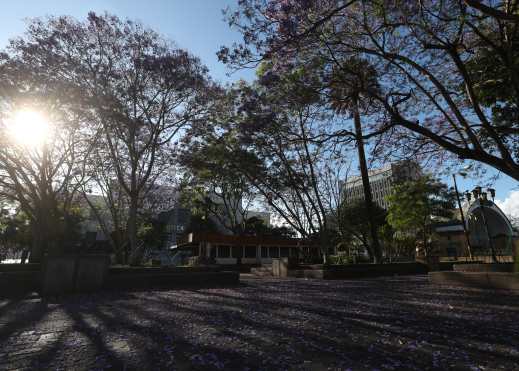 En los alrededores del Parque Centenario en el Centro Histórico se agrupan varias personas en situación de calle, pero este día algunos se fueron en grupos al albergue municipal en la zona 3. Foto Prensa Libre: Óscar Rivas