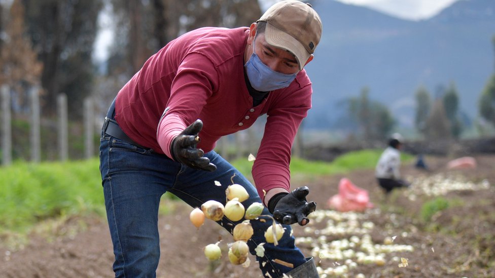 La caída del precio de las materias primas y de los alimentos tendrá un impacto importante en América Latina.