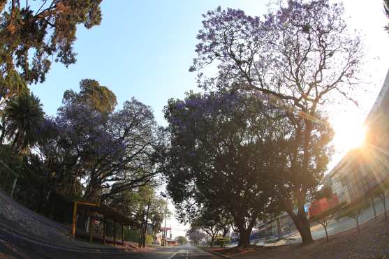 Un rayo de luz se filtra en avenida La Castellana donde reina la tranquilidad después del toque de queda. Foto Prensa Libre: Óscar Rivas