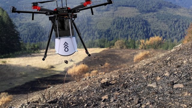 Un dron de FF se acerca a uno de los lugares elegidos para plantar árboles. (Foto Prensa Libre: Forbes).