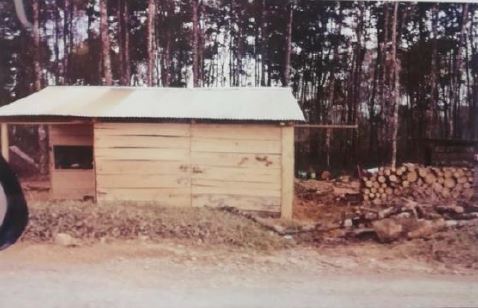 Invasores de fincas en Alta Verapaz talan árboles de hule para construir casas. (Foto Prensa Libre: Acdepro)