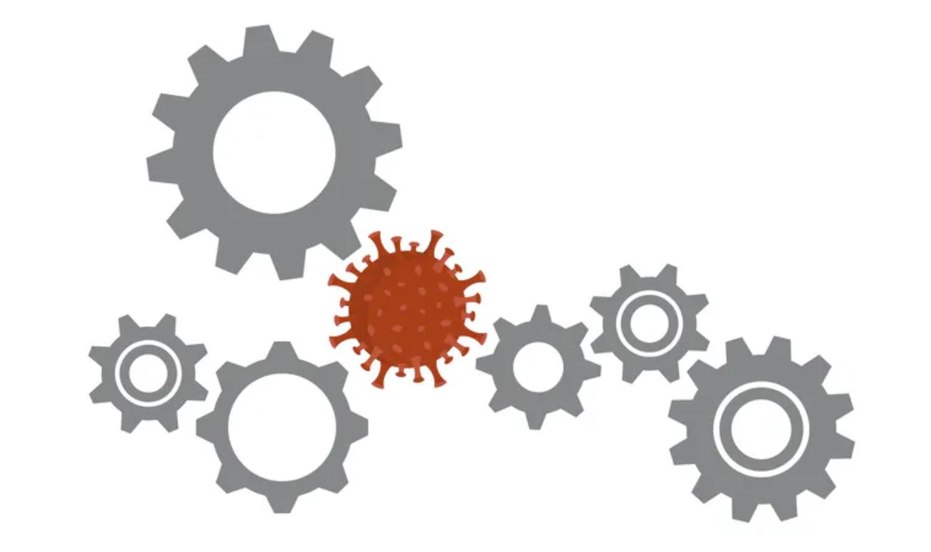 (Foto Prensa Libre: Shutterstock)