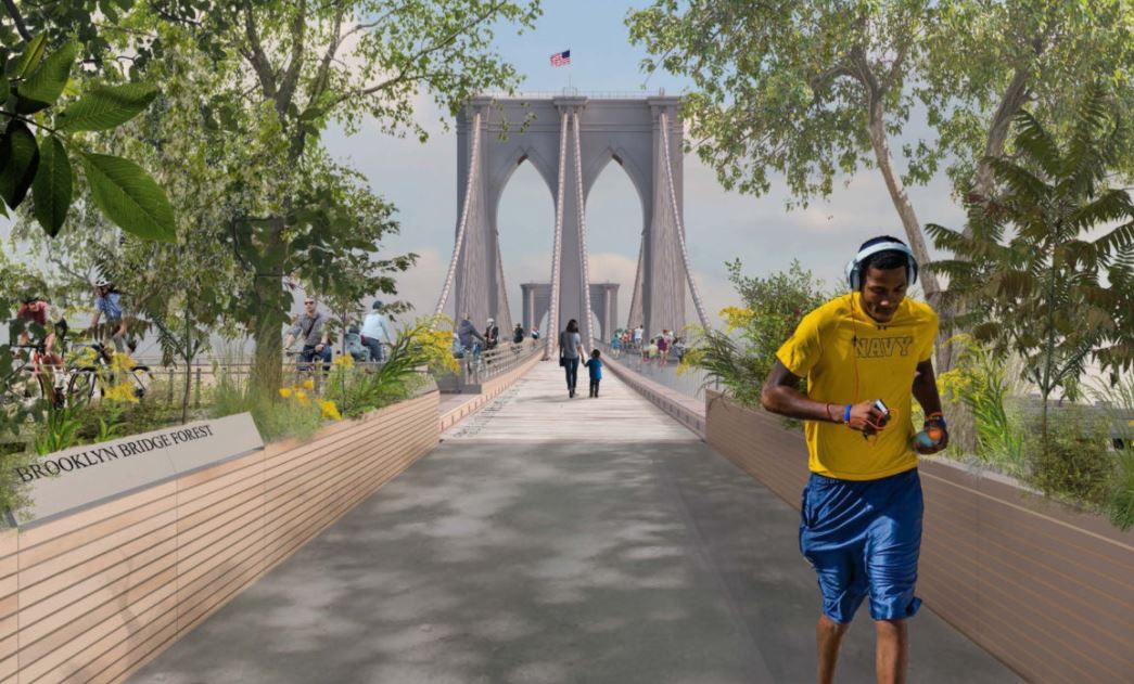 El Proyecto Brooklyn Bridge Forest (Bosque del puente de Brooklyn), gana concurso internacional y usarán madera de la Asociación de Comunidades Forestales en Petén. (Foto Prensa Libre: Proyectos piloto Design Collective, Cities4Forests, Wildlife Conservation Society, Grimshaw y Silman; Nueva York y Montreal)