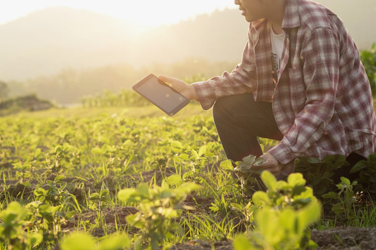 La pandemia fue la oportunidad de innovación para muchas empresas que lo habían dejado relegado y que a causa de la crisis debieron acelerar su proceso. (Foto Prensa Libre: Shutterstock)