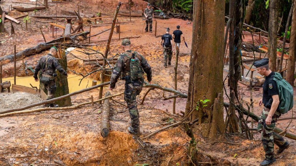 Los humanos están ocasionando la extinción de otras especies mediante la caza, la minería, la pesca excesiva y la tala de bosques.