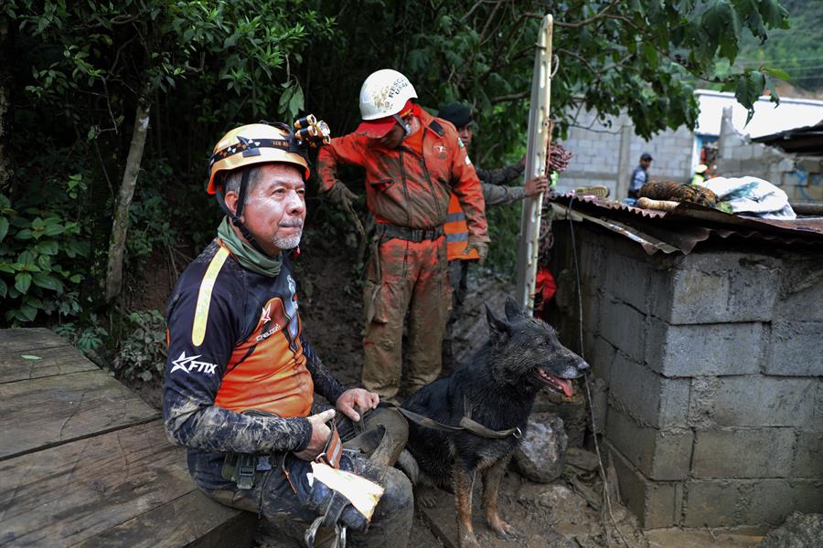 Una unidad canina de búsqueda compuesta por dos perros auxilia en las tareas de rescate de víctimas de la depresión tropical Eta. (Foto Prensa Libre: EFE)