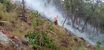 Durante febrero se incrementó el número de incendios  forestales. (Foto, Prensa Libre: Conred).