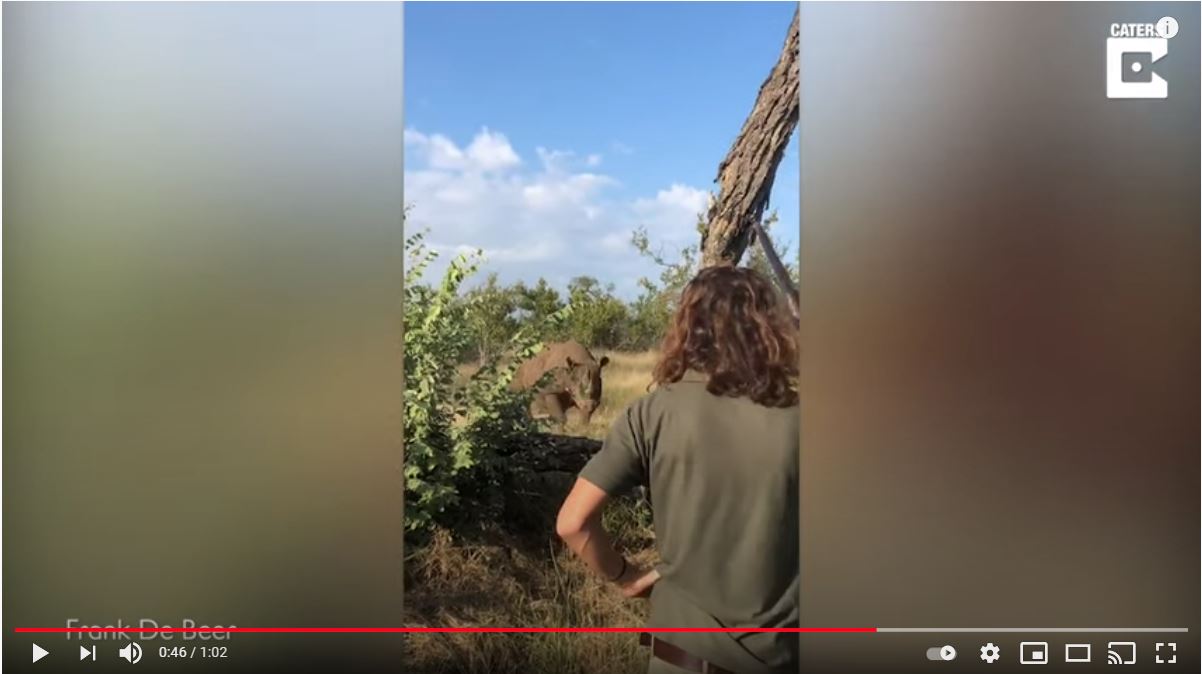 El video muestra los momentos de pánico que vivió el grupo de turistas en Sudáfrica. (Foto Prensa Libre: Captura de pantalla)