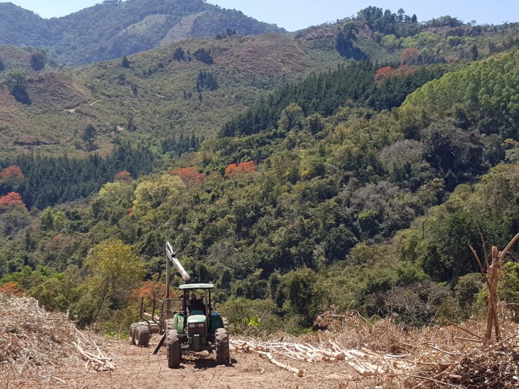 Carbón nativo