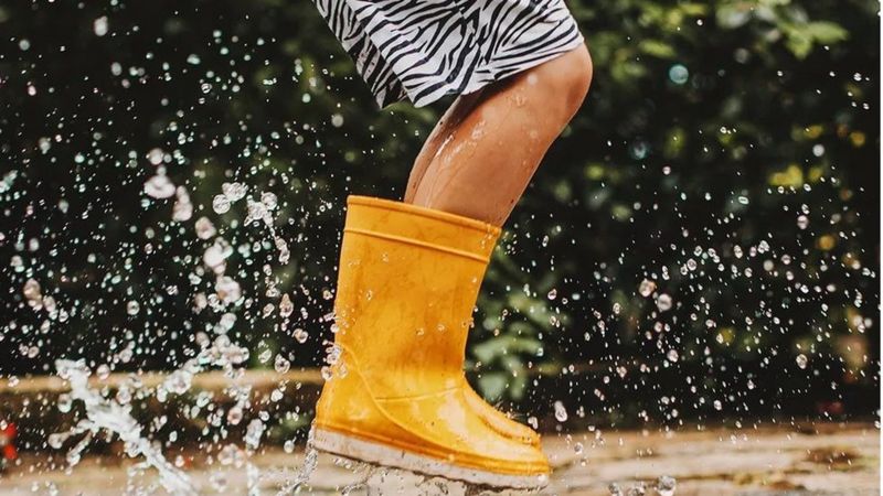 El caucho natural es un recurso crucial por sus amplias propiedades: desde su elasticidad a su resistencia a agua. (GETTY IMAGES)