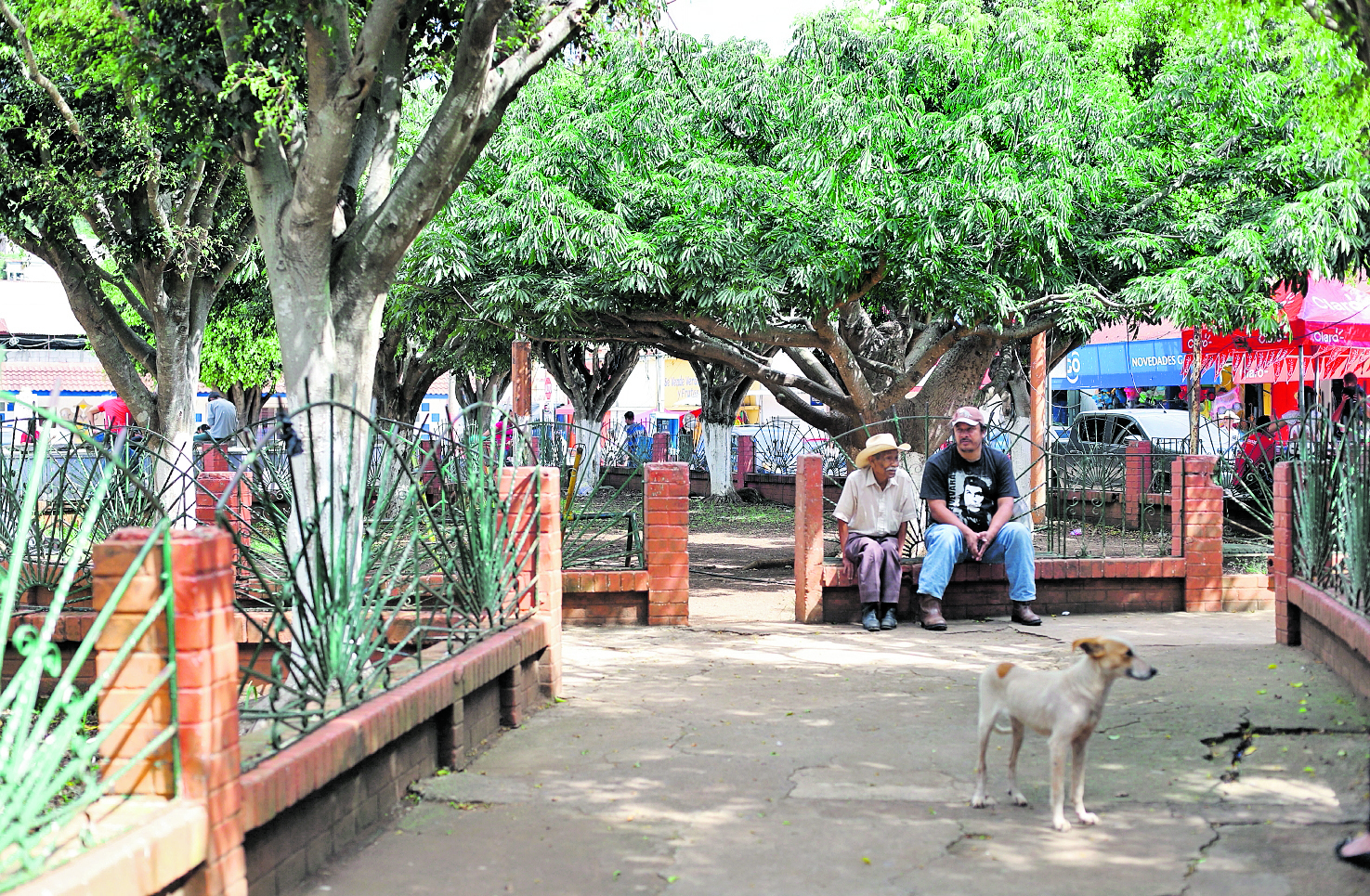 Vecinos del Municipio de Moyuta reeligen a Carlos Roberto Marroquín Fuentes, como alcalde del Municipio según vecinos del lugar es para que siga haciendo obras en el lugar según las personas.  
(Foto Prensa Libre. Érick Ávila)