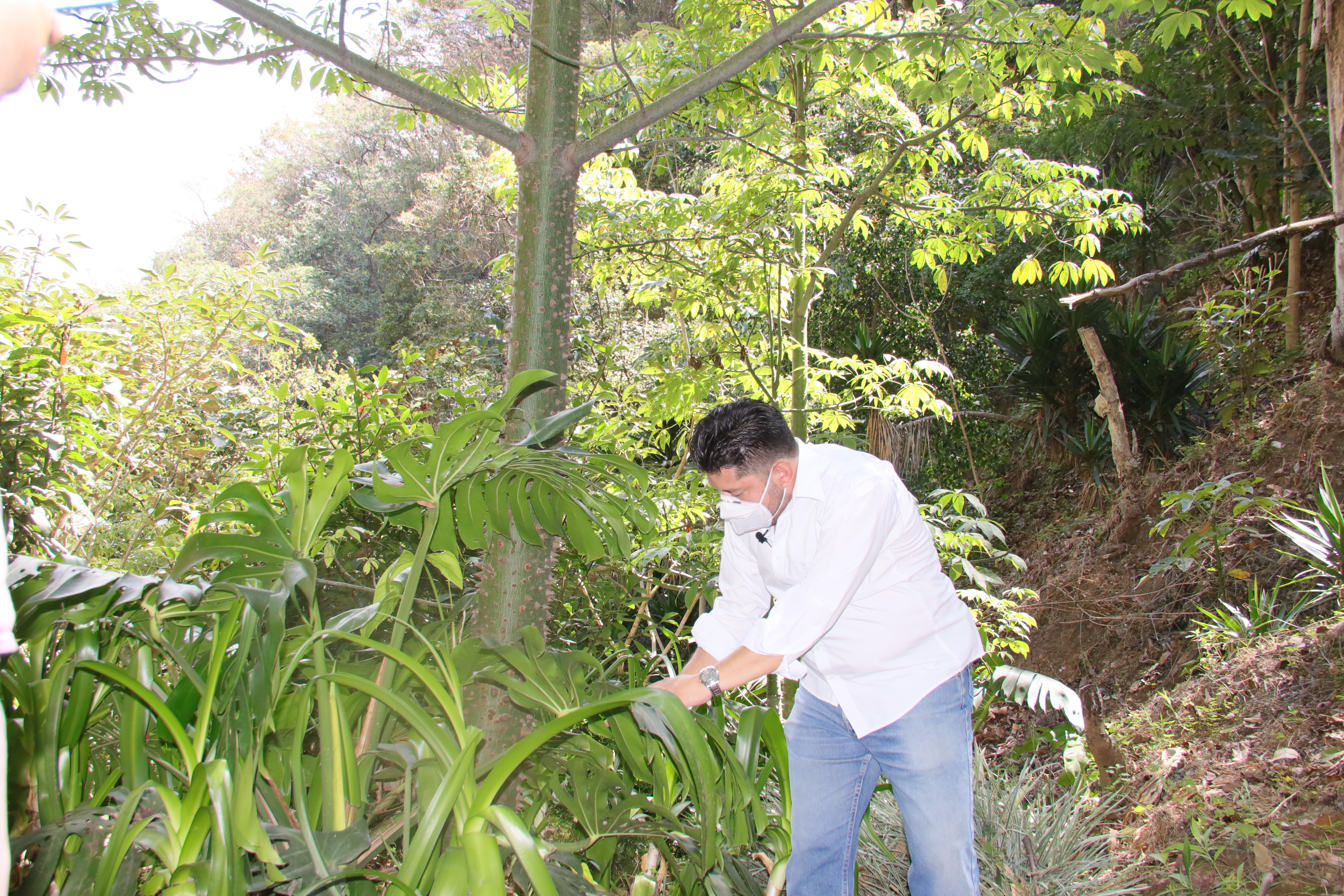 Barranco Las Mercedes, en la zona 8 de Mixco, se ha convertido en un pequeño pulmón verde dentro del área metropolitana. (Foto Prensa Libre: Alberto Hernández)