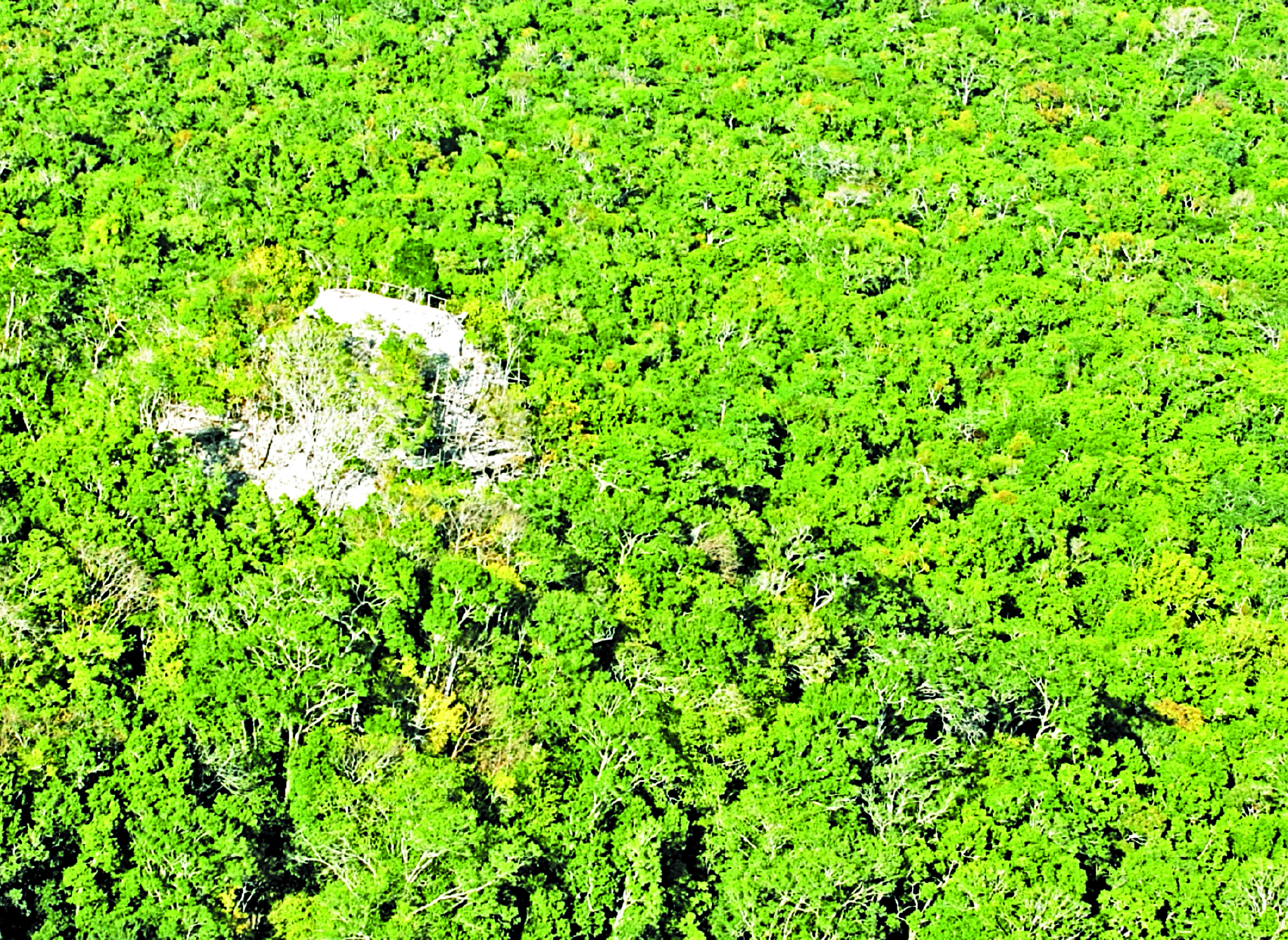 Arqueólogo Richard Hansen “El Mirador es de Guatemala”