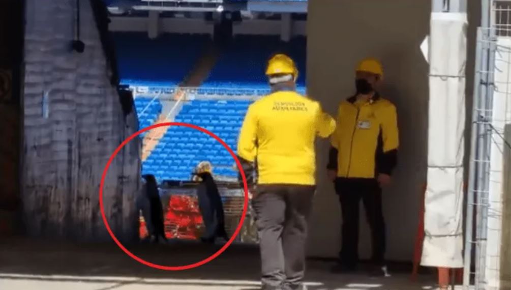 Dos pingüinos pasearon en las obras del estadio Santiago Bernabéu. (Foto Prensa Libre: Twitter)