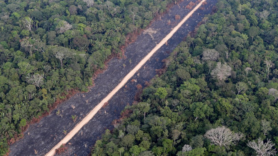 El gobierno de Bolsonaro aboga por el desarrollo en áreas protegidas de la Amazonía.