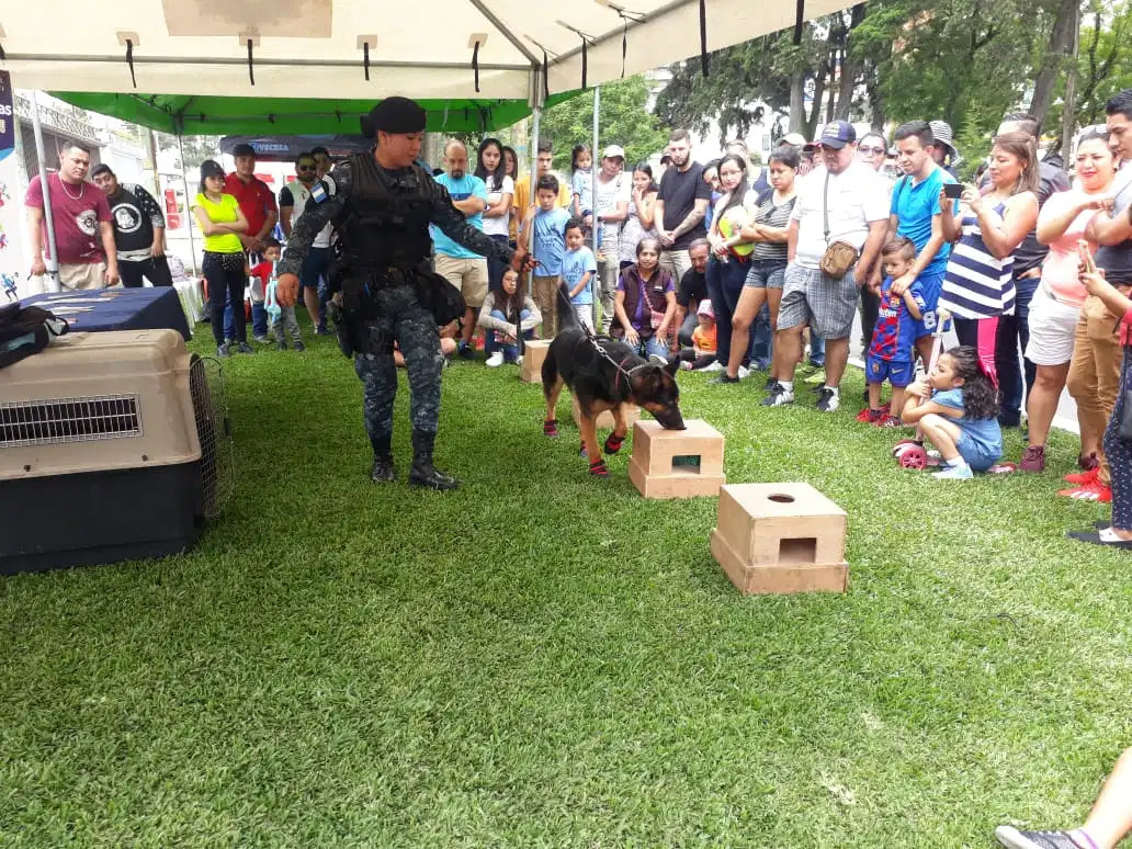 El programa se pondrá en marcha después de junio. Foto Prensa Libre: Mingob.