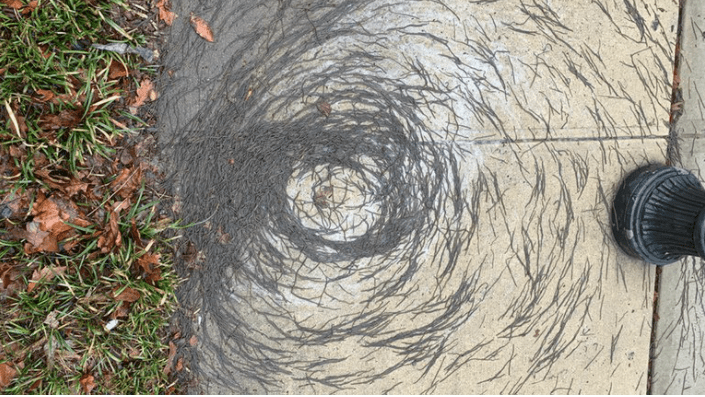 Los científicos no logran coincidir en porque esta especie mostró dicho comportamiento. Fotografía: Infobae. 