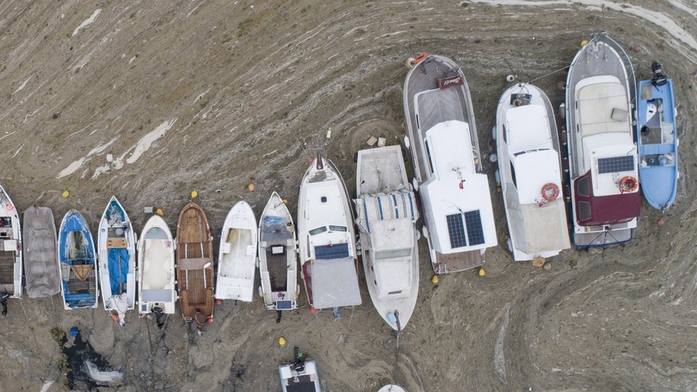 Pequeños barcos de pesca no pueden navegar debido al “moco de mar”. 