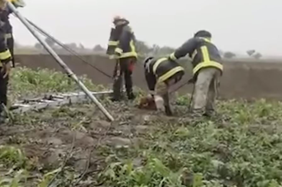 Momento del rescate de perros que cayeron en el socavón en México. (Foto Prensa Libre: Tomada de redes sociales)