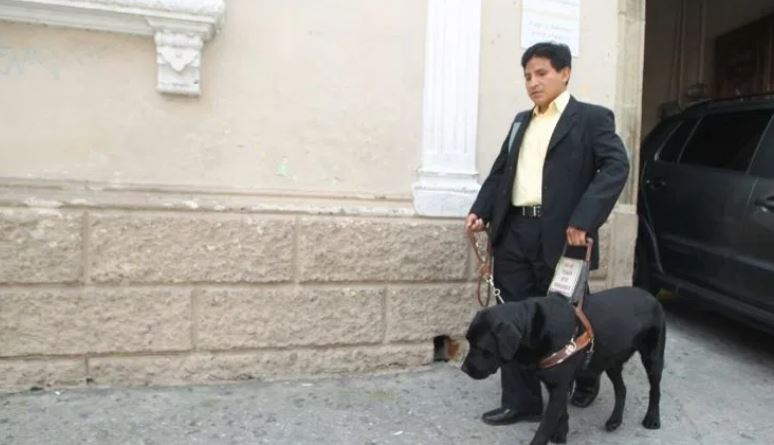 Perros guías podrán ingresar sin restricción a los centros deportivos que administra el Ministerio de Cultura. (Foto Prensa Libre: HemerotecaPL)