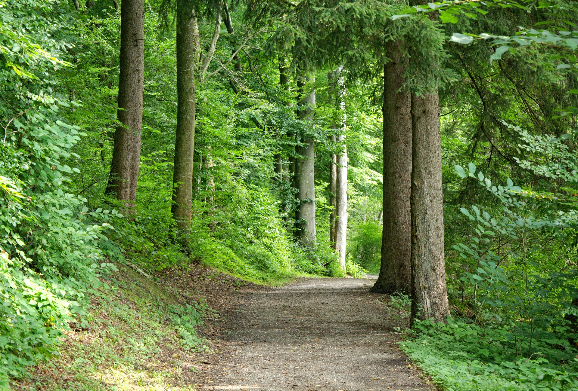 Comprobado por la ciencia: estar en la naturaleza hace bien