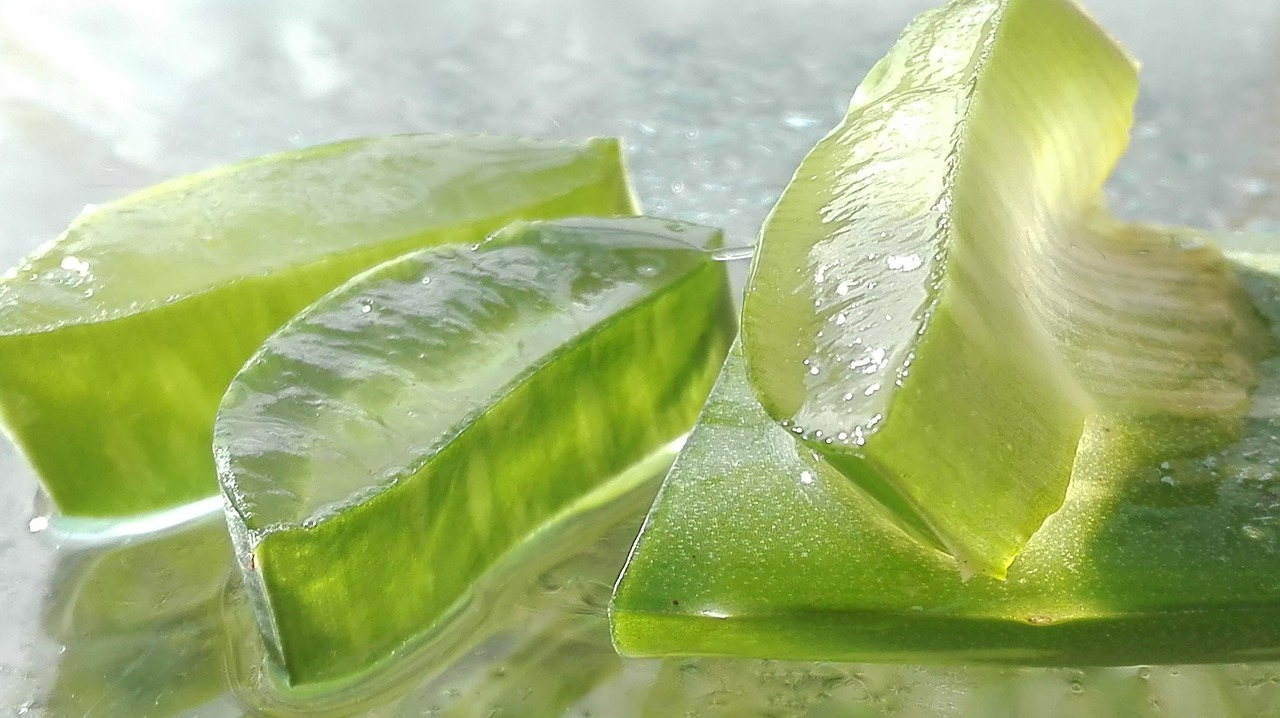 sabila aloe vera