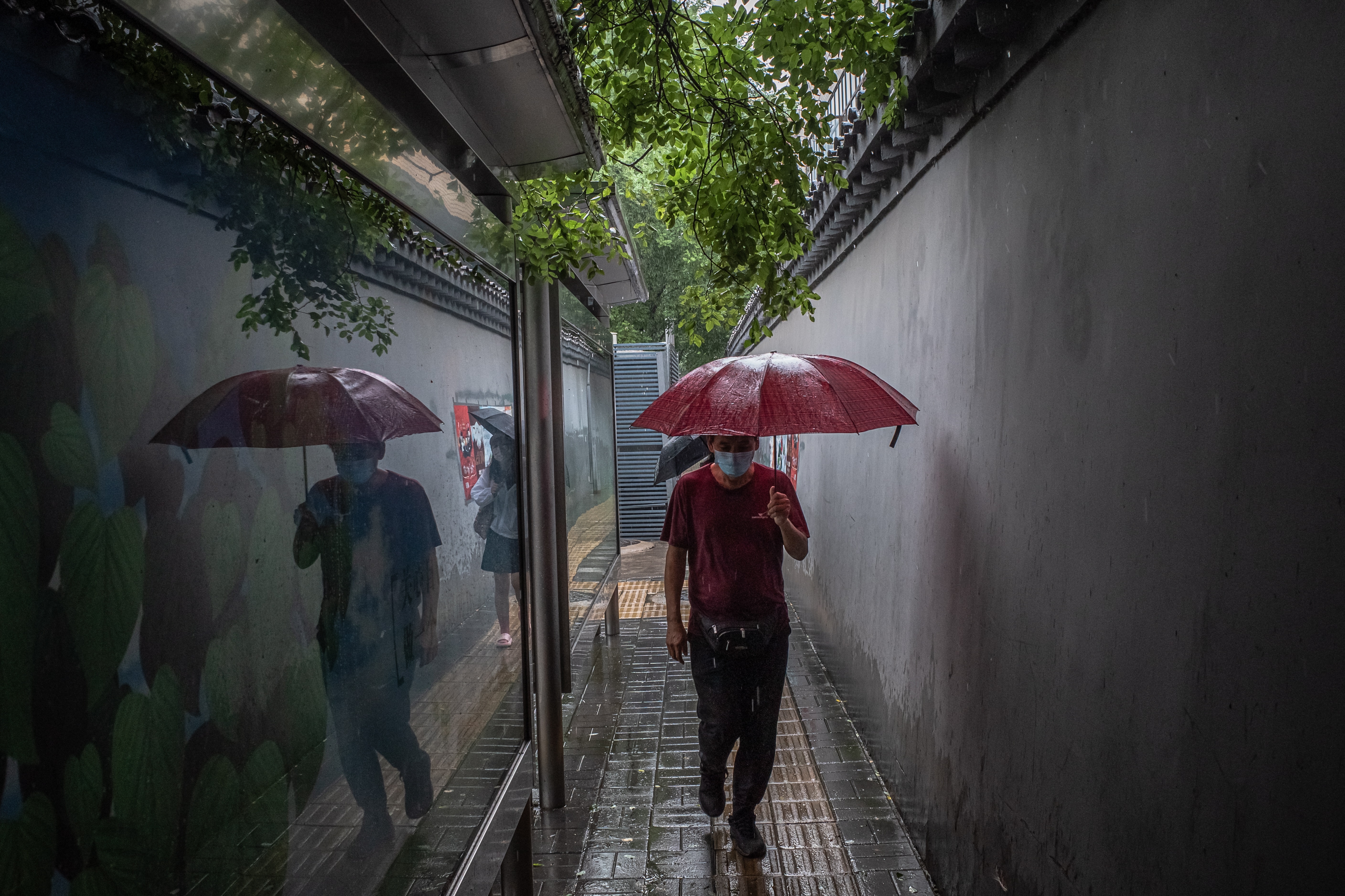 Tiempos de lluvia