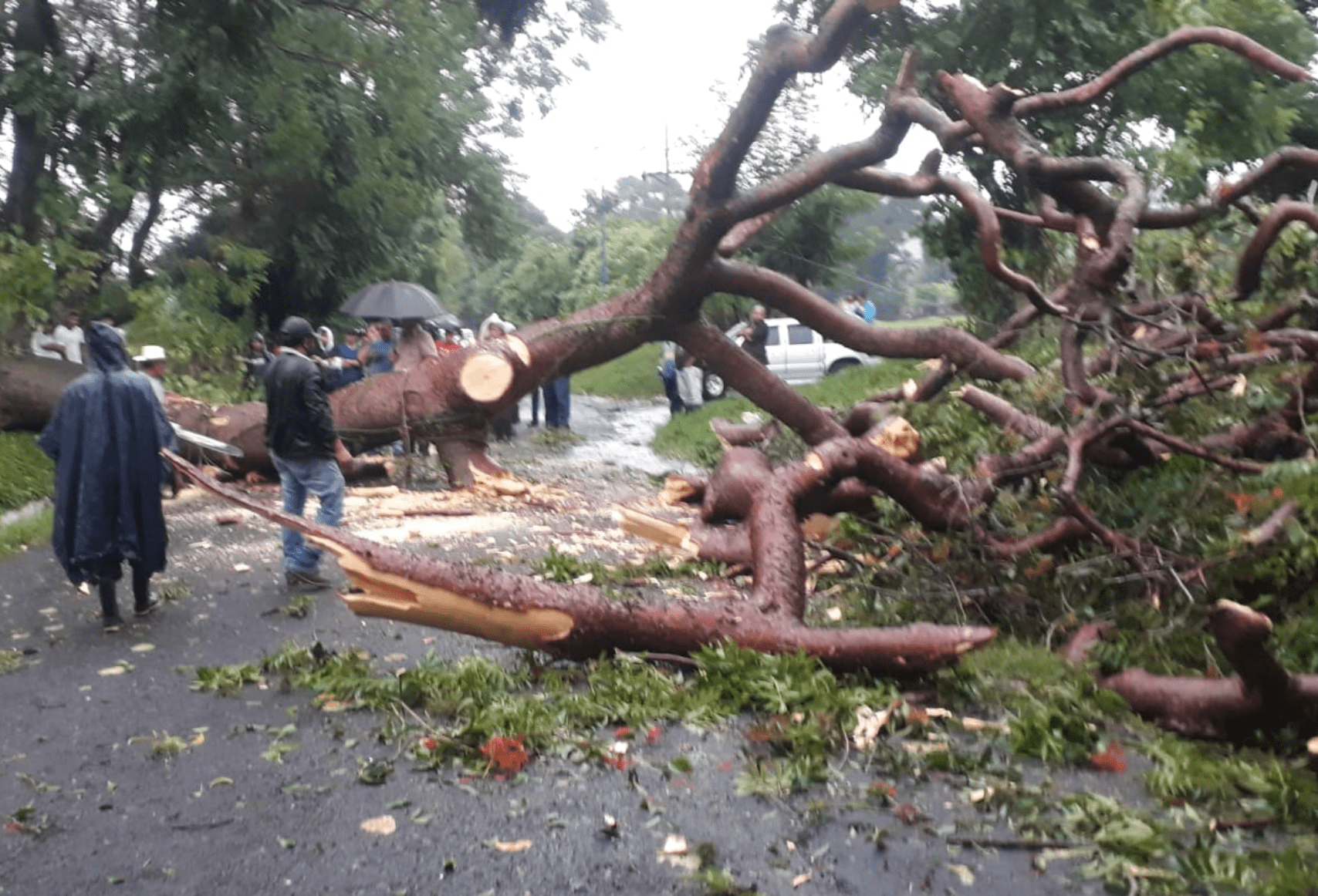 Las lluvias registradas en Guatemala durante la última semana causaron daños en varias partes del territorio nacional. (Foto Prensa Libre: Conred)