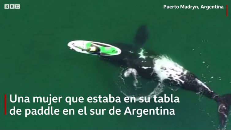 (Foto Prensa Libre: BBC News Mundo)