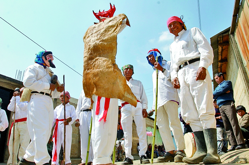 Danza de venado