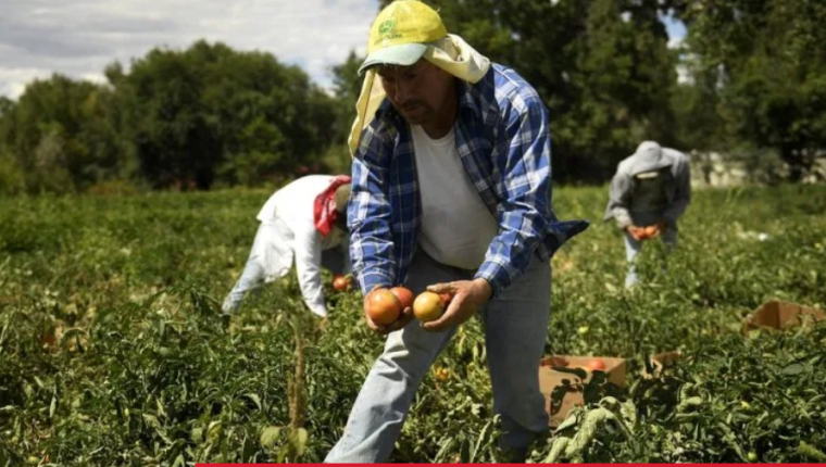 La Cumbre sobre los Sistemas Alimentarios convocada por la ONU, y el país debe desarrollar acciones para cumplir las metas de la ODS. (Foto, Prensa Libre: Hemeroteca PL).