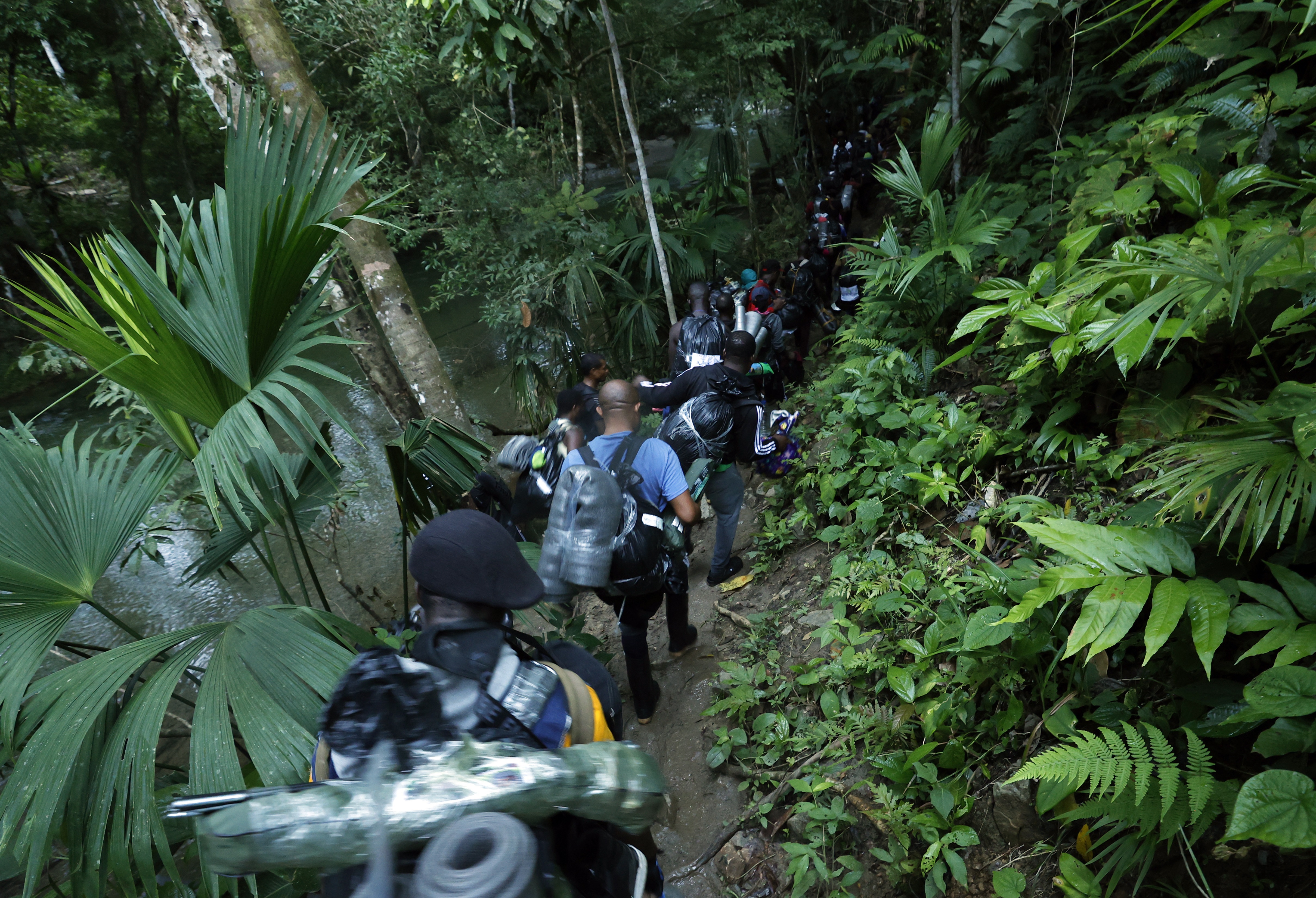 Un grupo de haitianos comienza a internarse en la selva del Darién, Panamá. Miles esperan en la frontera entre ese país y Colombia a que se les permita el paso. (Foto Prensa Libre: EFE)