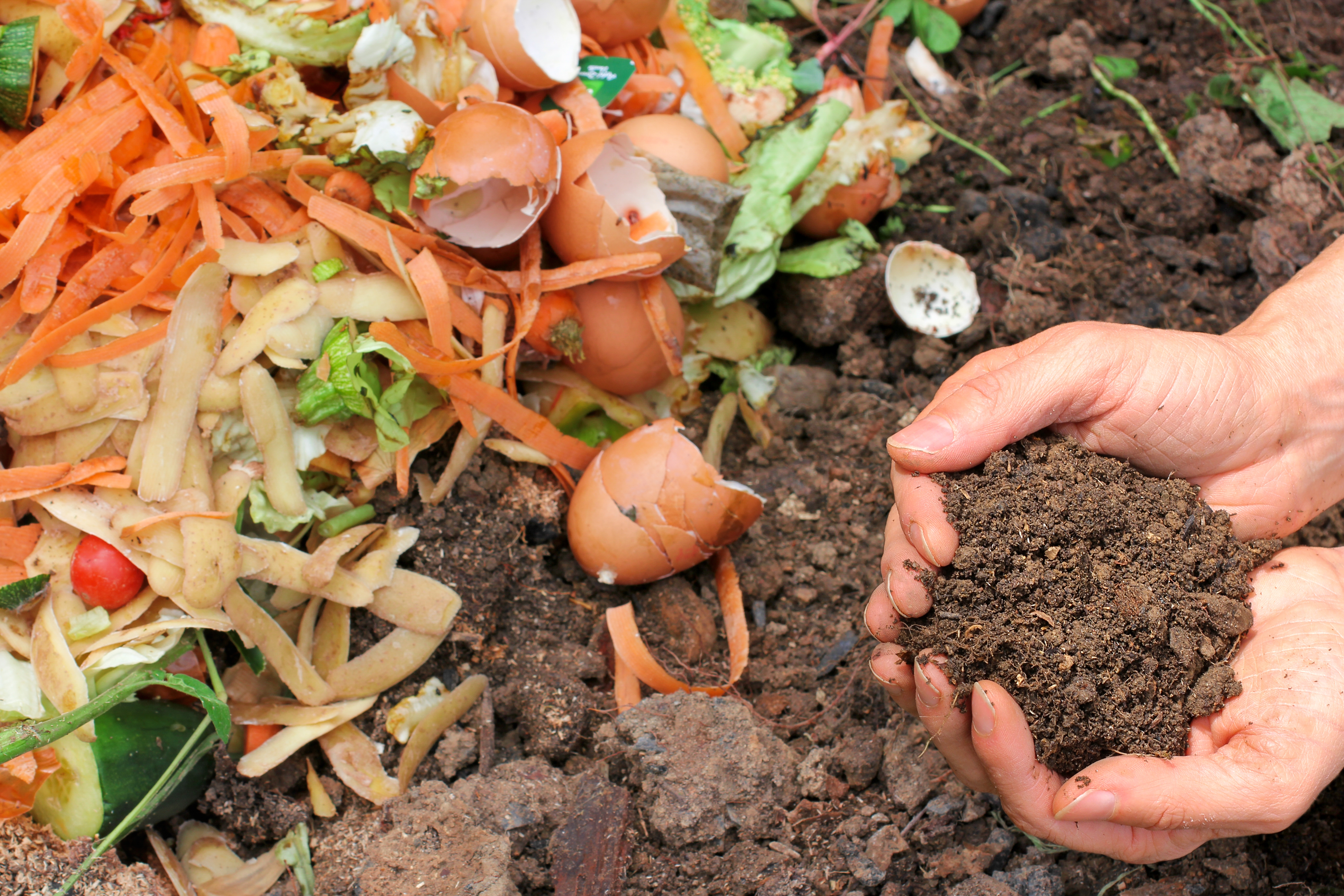 Las compostas son importantes en la producción agrícola orgánica.