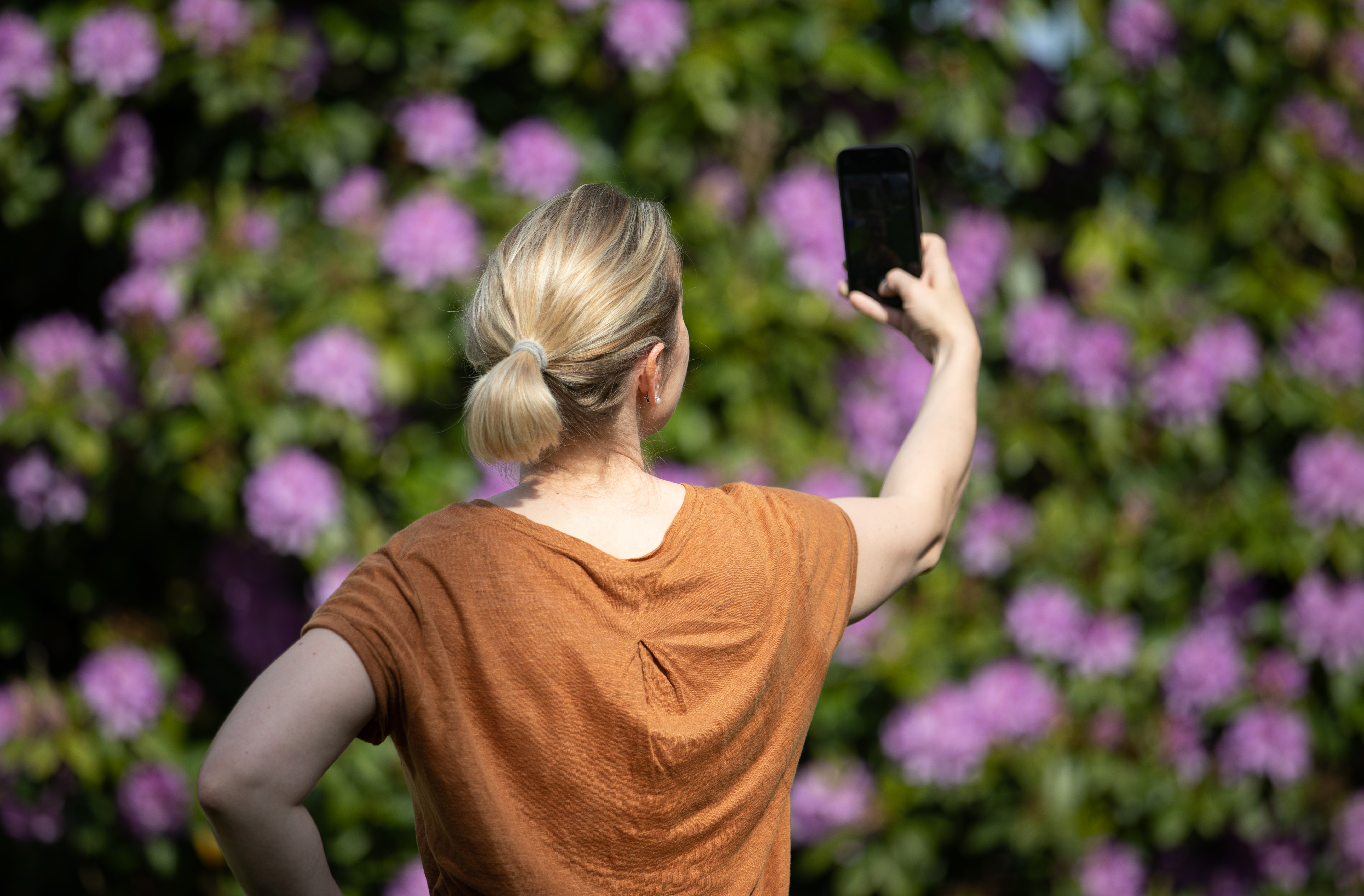 Ideales de belleza en redes sociales y como influyen en la vida diaria