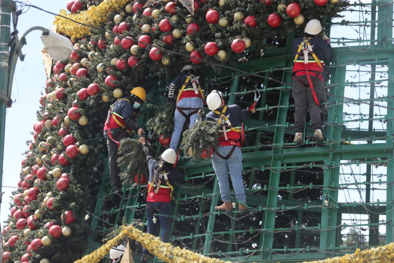 
La elaboración del Árbol Gallo en la Plaza El Obelisco ya dio inicio. (Foto Prensa Libre: Érick Ávila)
