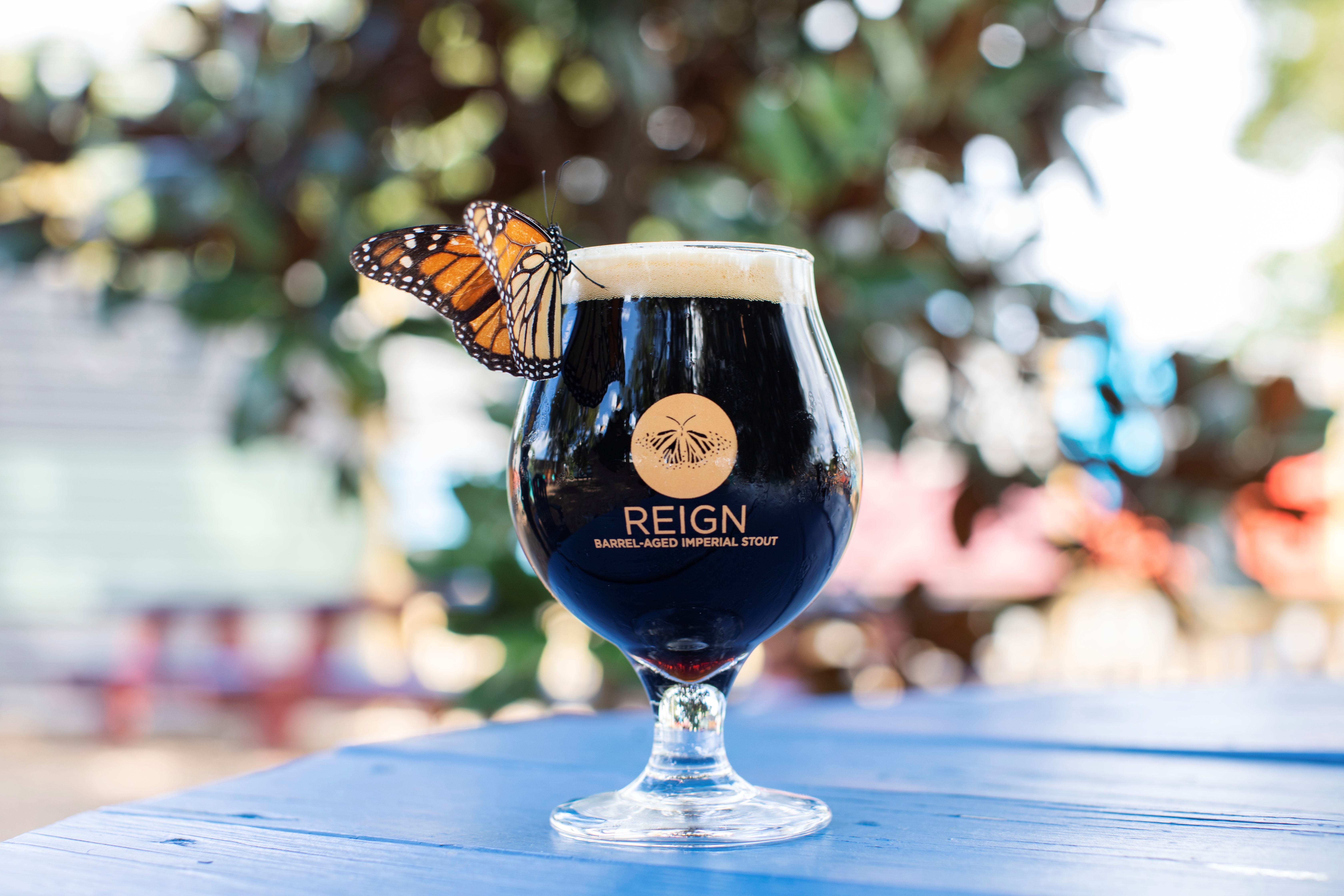 Fotografía cedida por la Universidad de Florida (UF) que muestra un vaso de Reign, una cerveza negra de grifo confeccionada por First Magnitude Brewing Company, y cuyo nombre es un guiño a las coloridas mariposas monarca porque se usará para recaudar fondos para la restauración de hábitats de esta icónica especie. (Foto Prensa Libre: EFE/Universidad de Florida)