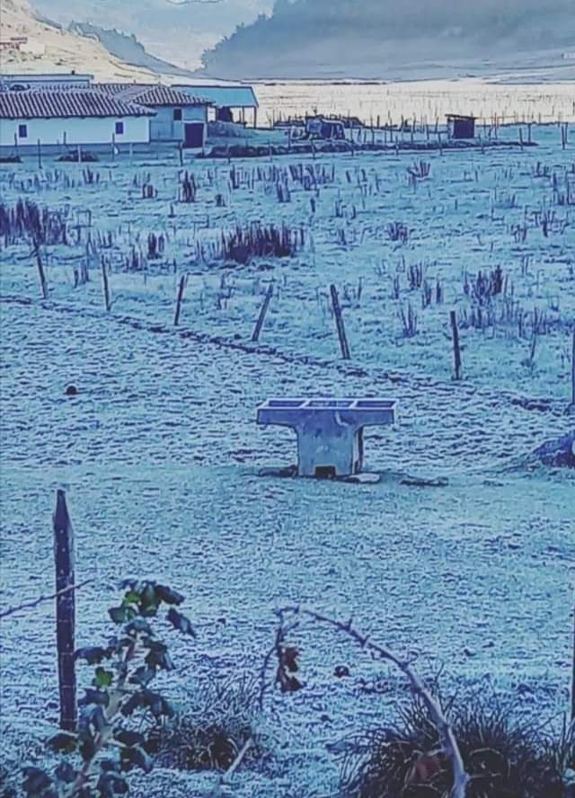 Uno de los lugares más afectados por la helada fue Chiantla, Huehuetenango. (Foto Prensa Libre: Hugo Tello)