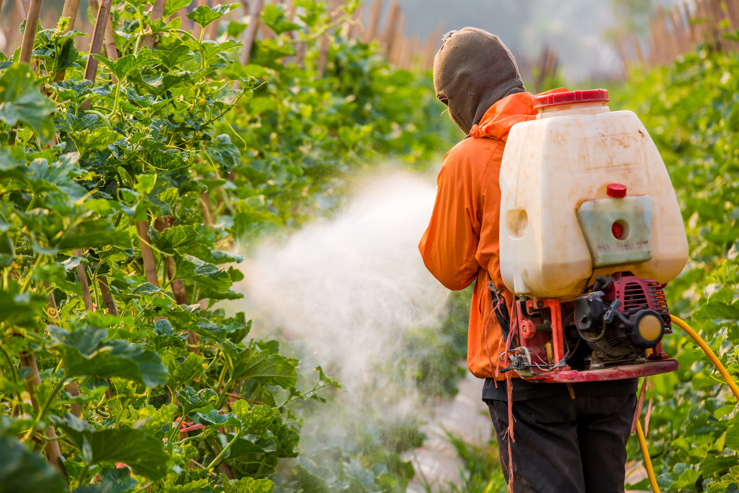 El incremento de los agroquímicos a nivel mundial se han duplicado y triplicado en los últimos 18 meses. (Foto Prensa Libre: Shutterstock)