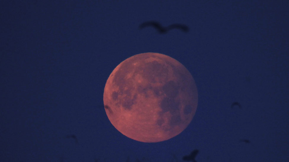 El eclipse lunar más largo del siglo se podrá apreciar el viernes 19 de noviembre de 2021. (Foto Prensa Libre: Hemeroteca PL)