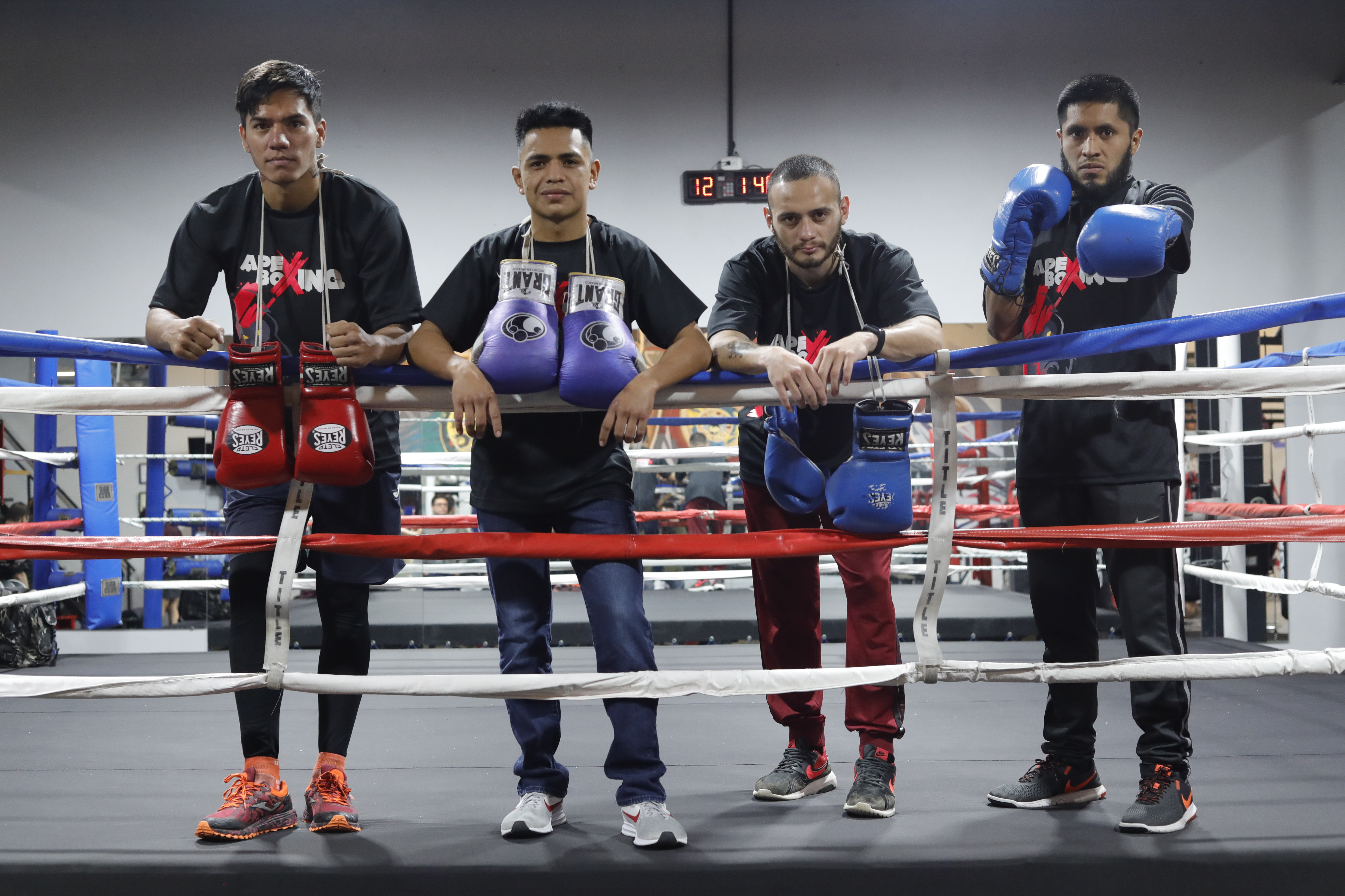 Juan Manuel Méndez, René de León, Pablo Macario y  Wálter Duarte son figuras del boxeo profesional. (Foto Prensa Libre: Esbin García).