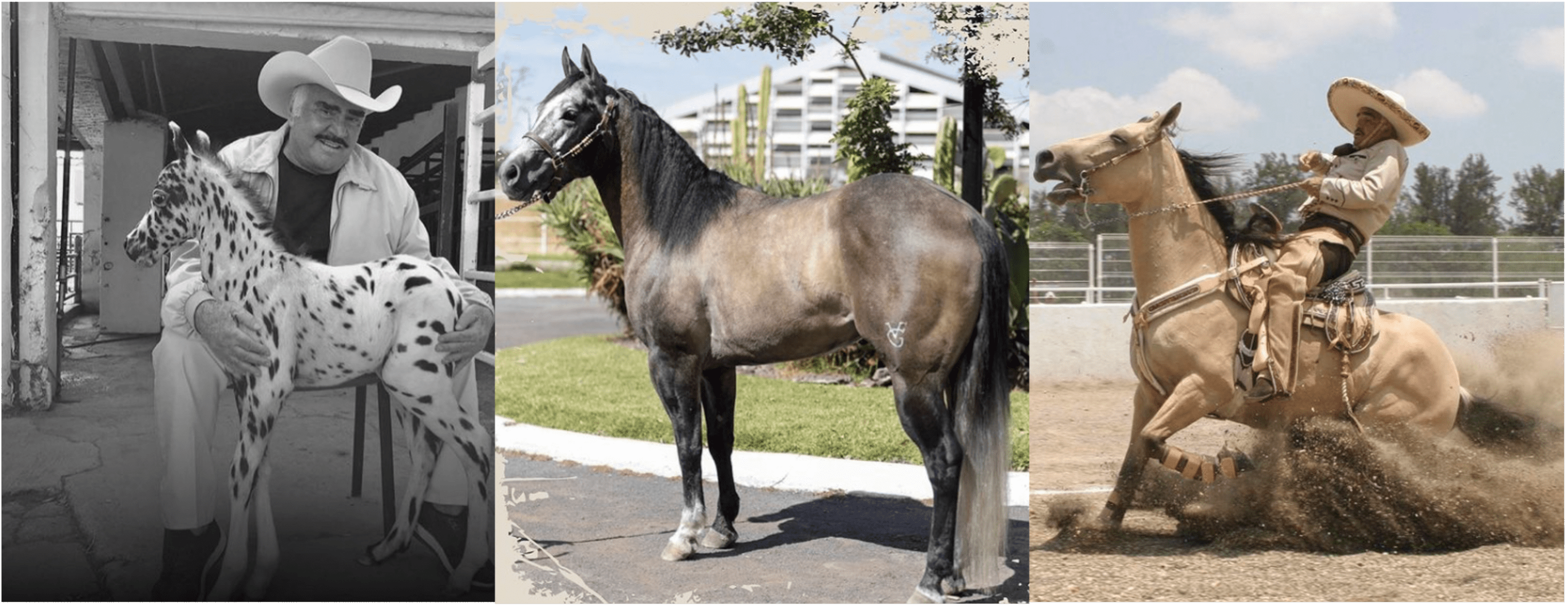 Vicente Fernández era un apasionado por los caballos. (Fotos Instagram: _vicentefdez). 