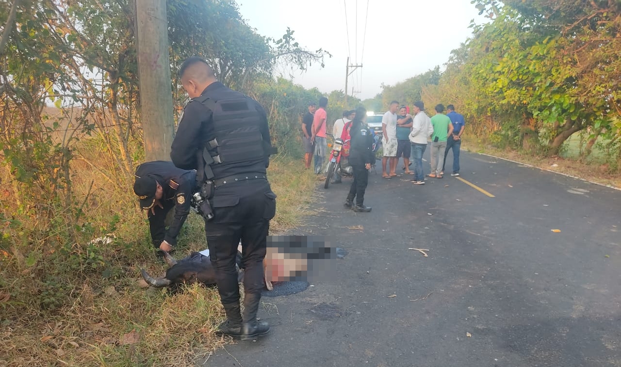 El cadáver de un hombre fue localizado en una carretera de Sipacate y se cree que se trata de un cuatrero. (Foto Prensa Libre: Carlos Paredes)